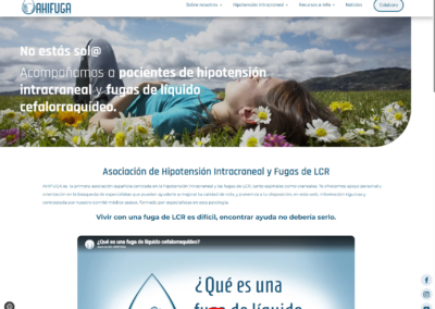 Desarrollador web Wordpress y Woocommerce 5 Ahifuga